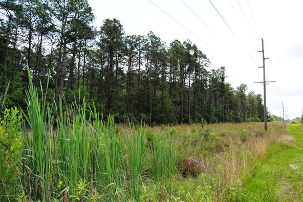Multi Lots Timber Ln .: Multi Lots Timber Ln ., Richlands, NC 28574